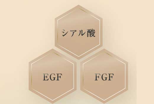 アナツバメの巣には、シアル酸・EGF・FGF含有