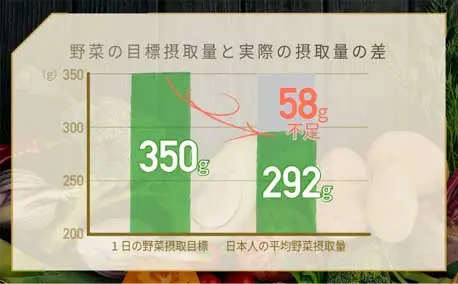 日本人は1日58gの野菜不足